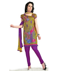 Artistic Paisley Embroiderd Salwar Kameez 17598