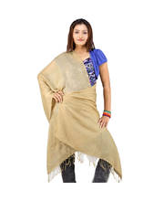 Fabulous Beige Color Kashmiri Scarf Stole -109