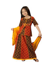 Rajasthani Bandhej Multicolour Lehanga Kurti